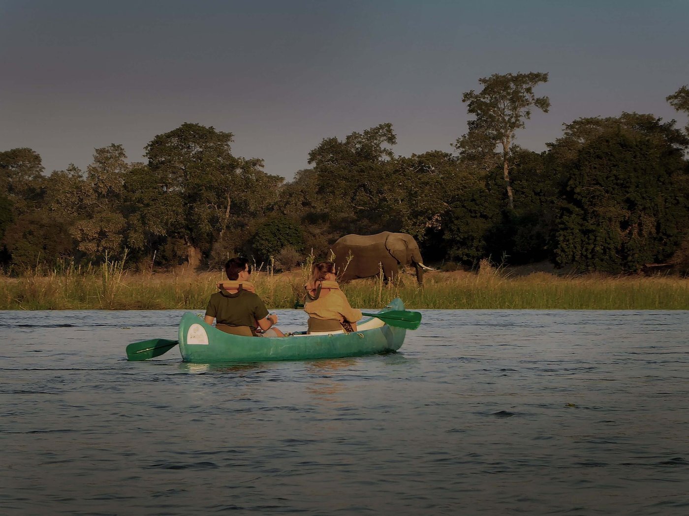 Canoe safari passing an elephant on the riverbank at Camp Mana.