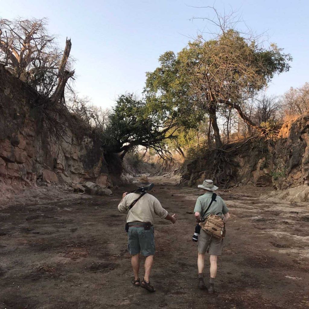Two walkers follow a guide along the dry Chitake riverbed near Chitake Mobile Camp