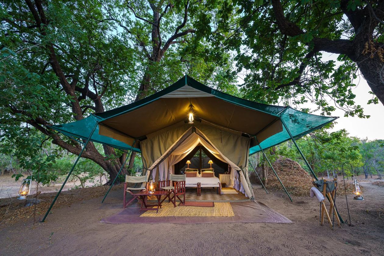 Canvas safari tent lit beneath a tree at dusk at John's Camp, Mana Pools.