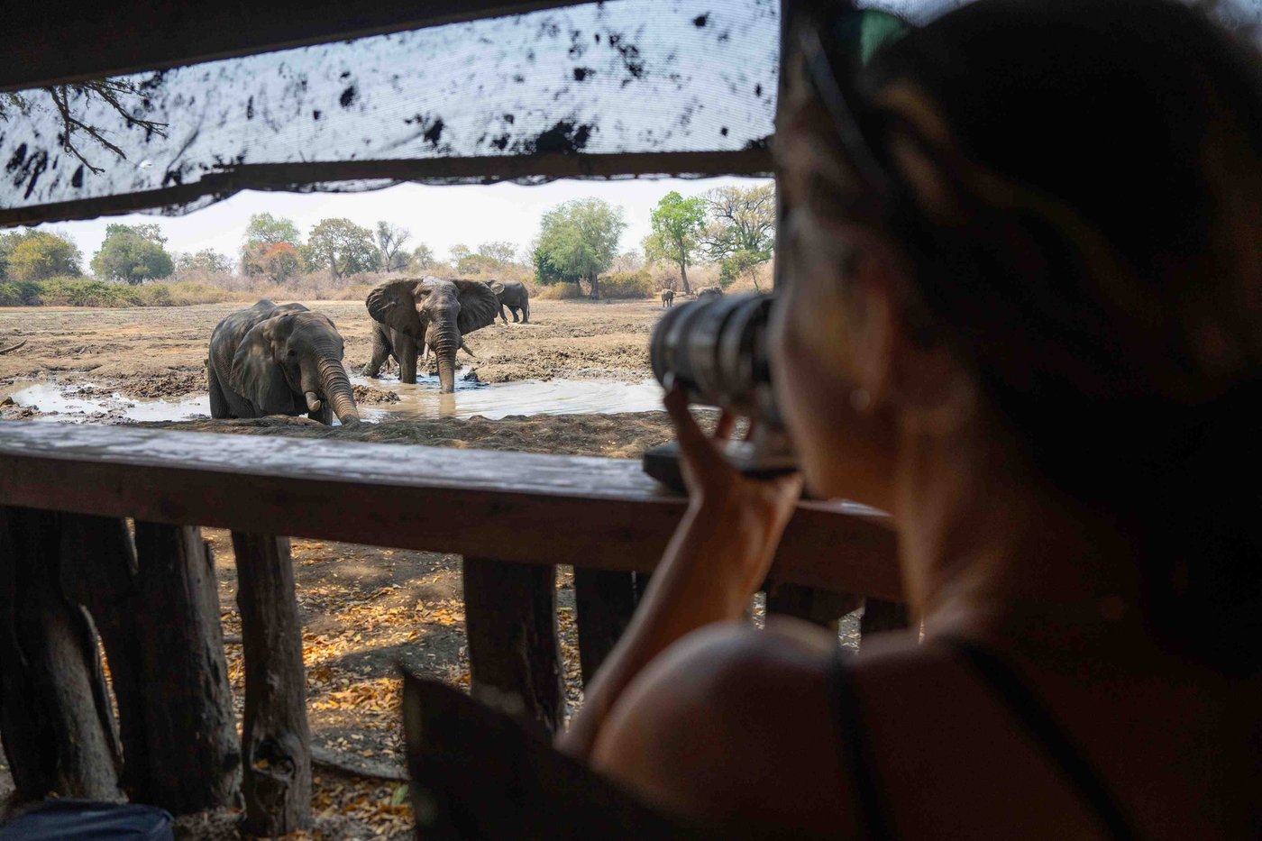 Photographer in the elevated hide watching elephants at the pan at Kanga Expeditions.