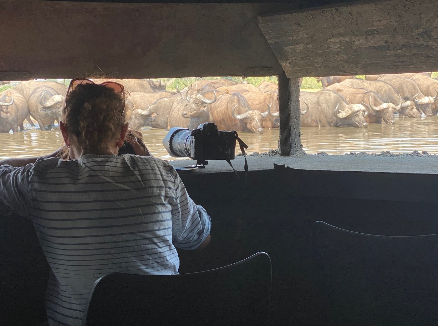 Photographer in the water-level hide overlooking the waterhole at Kavinga Safari Camp.