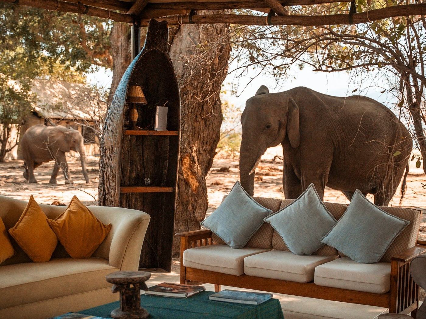 Lounge tent with an elephant visible just outside at Little Vundu.