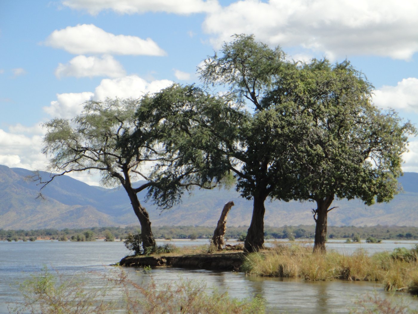 A wooded island in the Zambezi off the Mana Pools frontage, the setting of the riverside lodges