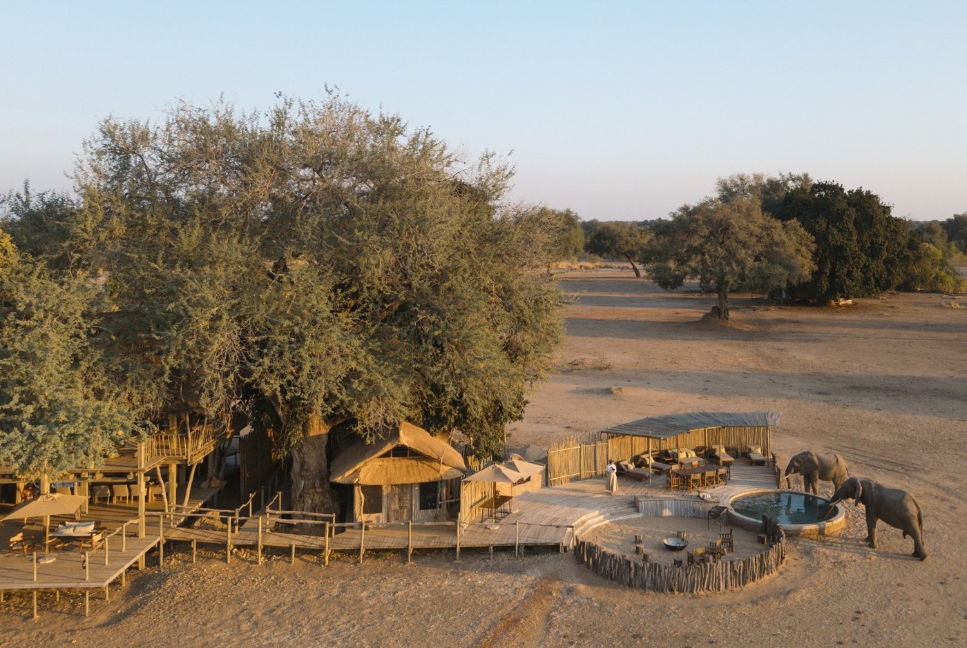 Aerial view of the camp's thatched suites among riverine trees at Nyamatusi Camp.
