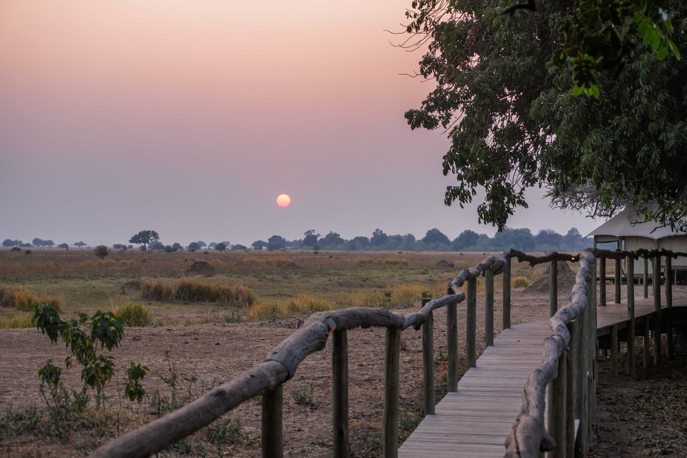 Wooden boardwalk connecting guest tents at sunset at Nyamatusi Mahogany.