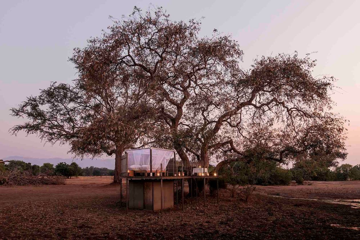 Star Bed treehouse deck built into a tree canopy at Wilderness Ruckomechi.