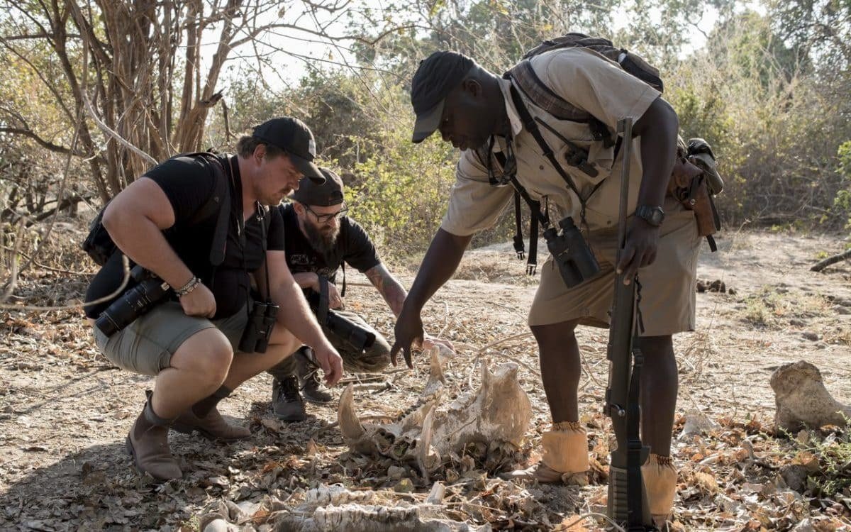 Guide and guest tracking animal signs on foot near Zambezi Expeditions.